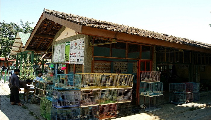 Pasty Pasar Satwa, Pasar Hewan Dan Tanaman Termegah Di Jogja